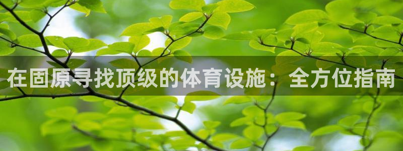 意昂体育3招商电话号码：在固原寻找顶级的体育设施：全