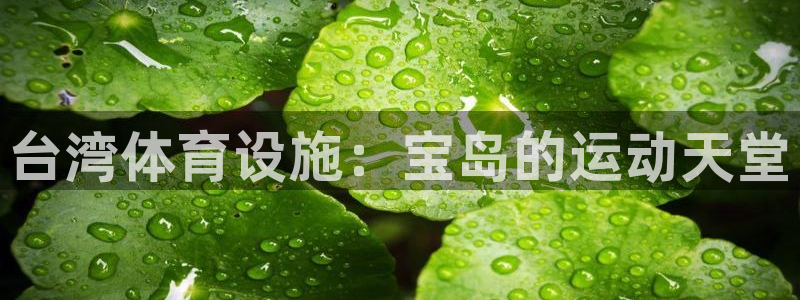 意昂体育3平台注册要钱吗安全吗：台湾体育设施：宝岛的