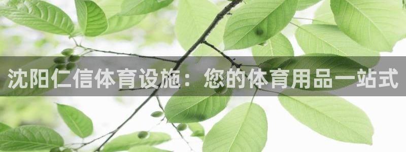 意昂体育3注册：沈阳仁信体育设施：您的体育用品一站式