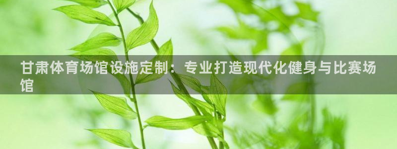 意昂体育3官方客服电话：甘肃体育场馆设施定制：专业打