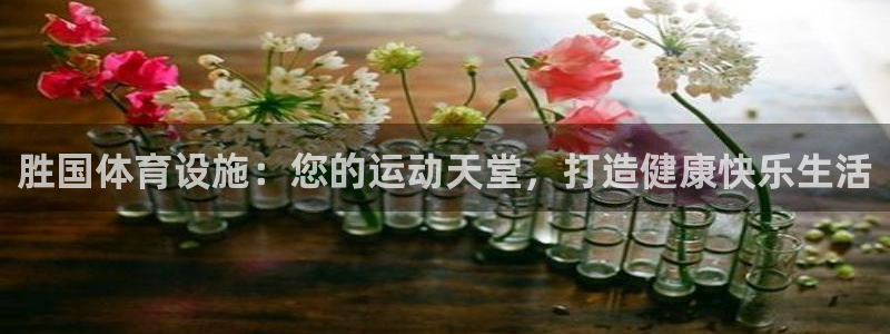 意昂体育3招商电话：胜国体育设施：您的运动天堂，打造